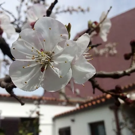 홈스테이 Nenna *