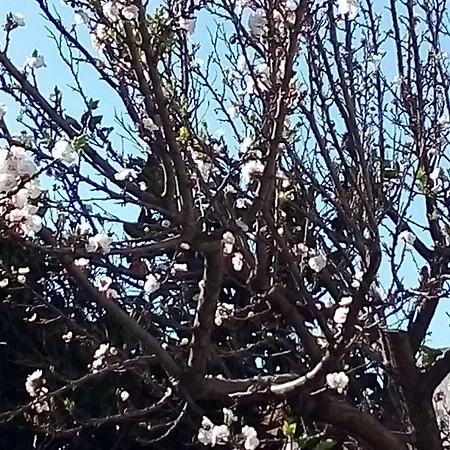 Privatunterkunft Nenna